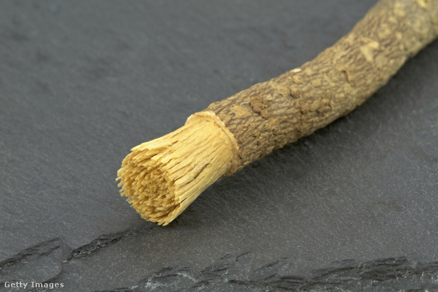Így néz ki a miswak, a Közel-Keleten használatos fogpálcika