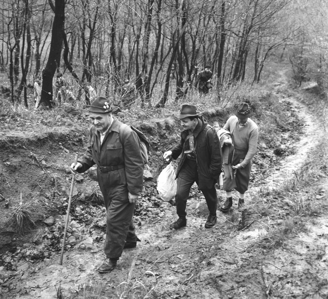 10 de abril de 1966. Octavo Senderismo en el Bosque de Peles.  Excursionistas en la zona.  La Sociedad Amiga de la Naturaleza de Budapest organizó la visita tradicional a Voroski Rock, cuyo propósito era que los excursionistas depositaran una ofrenda floral en el monumento soviético.