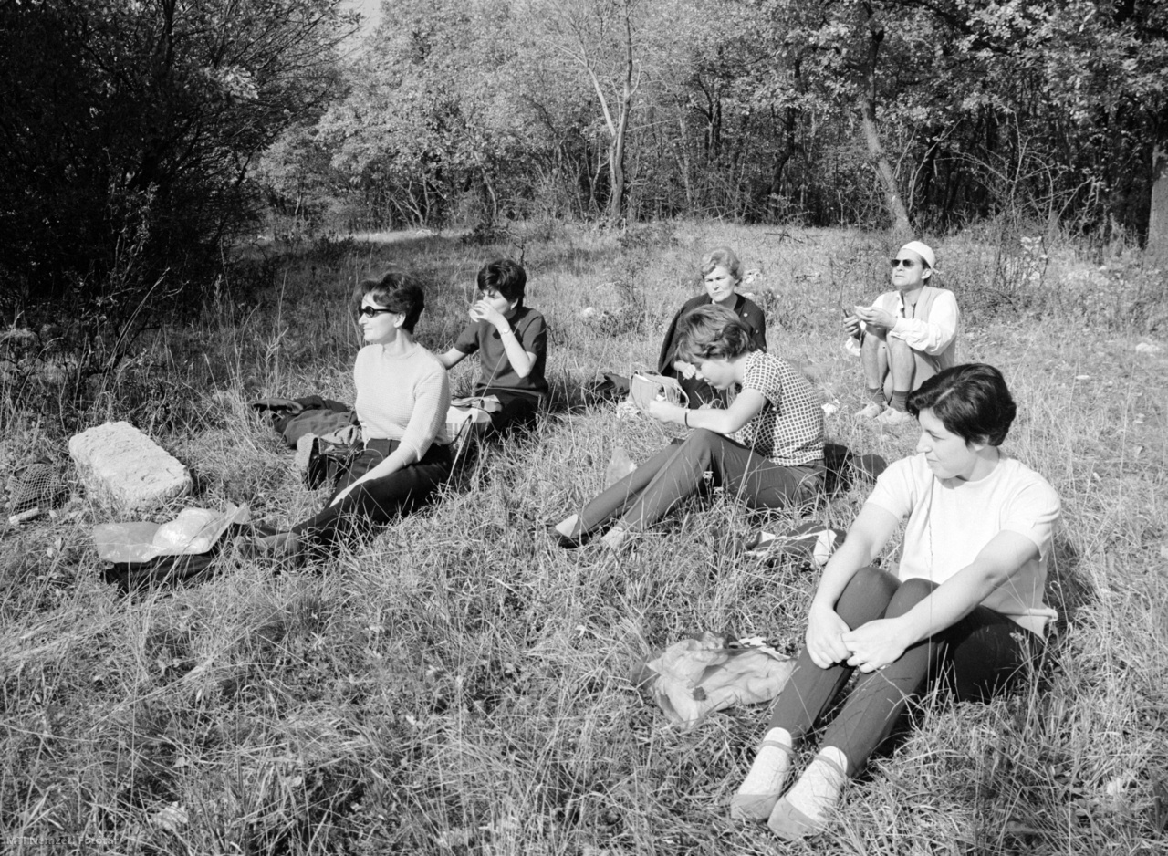 Budapest, 18 de octubre de 1969. Los excursionistas descansan en un claro.  Ruta del banco Magyar Kereskedelmi.  En las montañas de Buda en un sábado libre.