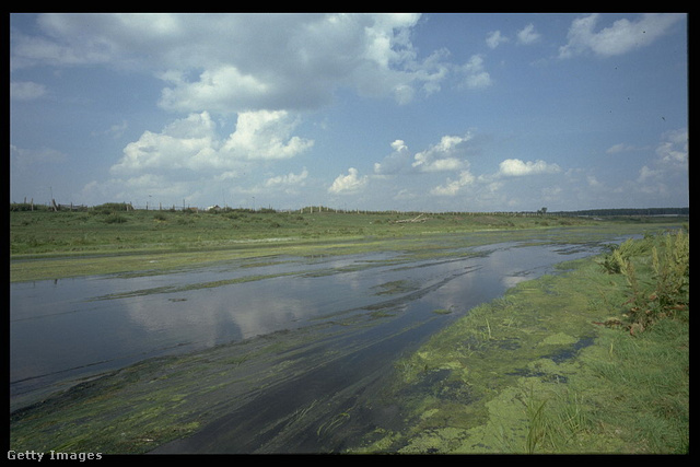 A látszat csal: a Tyecsa folyó vize súlyosan szennyezett