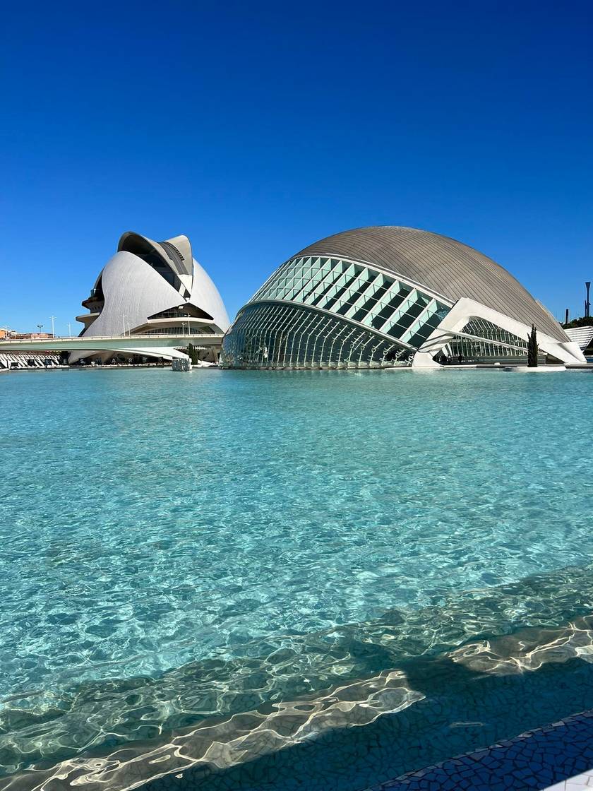 A Ciutat de les Art azaz, a Művészetek Városa Valencia szívében öt épület együtteséből áll: Zsófia Királyné Művészeti Palotája, L'Hemisféric mozikomplexum, a Tudományok Múzeuma, a L'Umbracle szobokert és a L'Oceanográfic óceanárium alkotja.