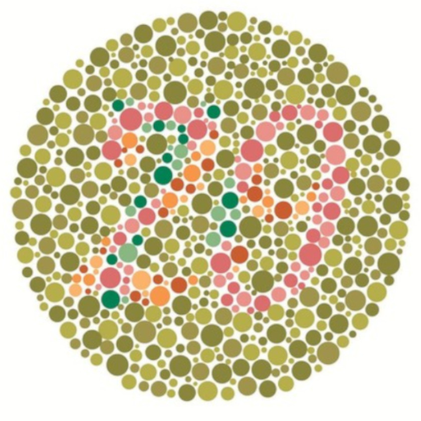 Milyen számot látsz a képen?