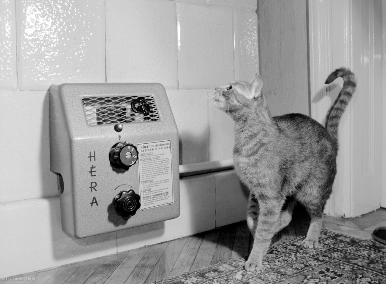 Budapest, 1964. december 8. Egy házi macska melegszik a cserépkályhába szerelt Héra típusú gázégő mellett. A Gyarmati Ferenc és Molnár Antal, a Fegyver- és Gázkészülékgyár munkatársai által szabadalmaztatott cserépkályha városi és földgázégő a lakószobák fűtésére szolgál