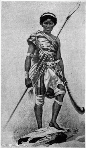 A dahomey-i amazonokat az ember kettévágására alkalmas pengét forgató, „kaszásoknak" is hívták