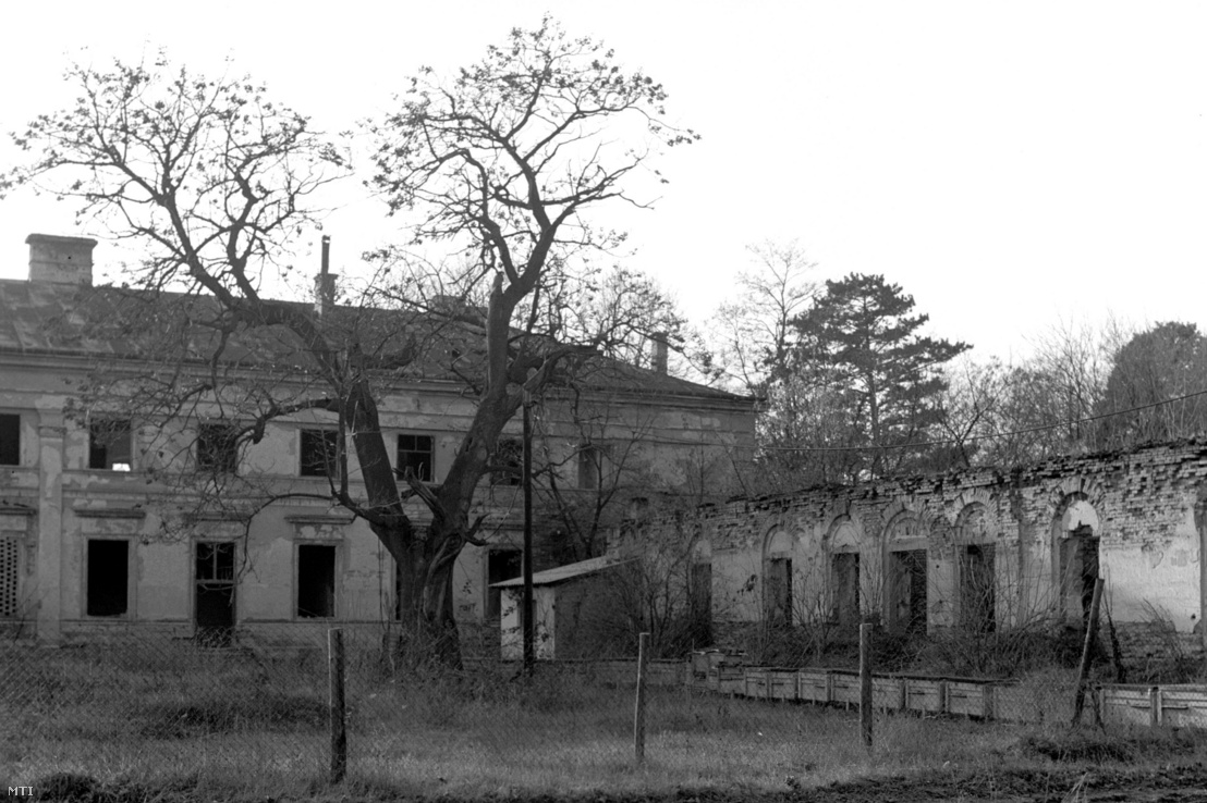 Seregélyes 1980. november 25. A magyar klasszicista kastélyépítészet romos emléke az omladozó Zichy–Hadik-kastély, mely 1940 óta gazdátlanul áll