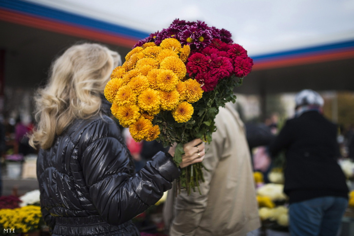 Virágpiac Nyíregyházán a Korányi Frigyes úton az Északi Temetőnél 2014.november 1-jén, halottak napja előtt
