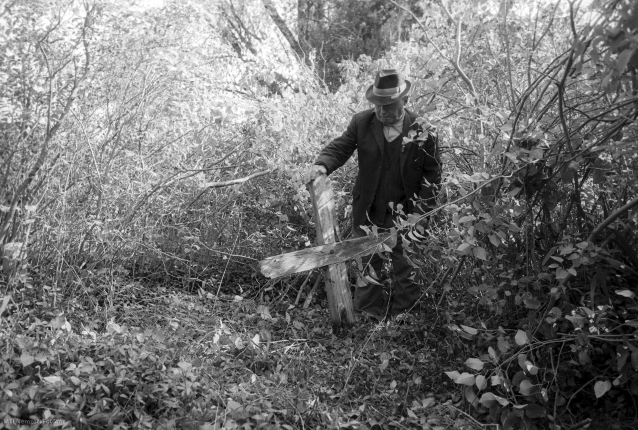 Ásotthalom, 1983. július 15. Idős férfi egy sírt mutat a szegedi tanyavilágban, a Pipás Pista hírhedt bérgyilkosnő életéről szóló film forgatási helyszínén. A férfiként élő sorozatgyilkosnőről Ember Judit készített dokumentumfilmet