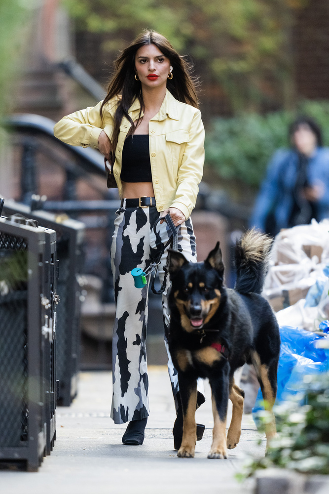 Emily Ratajkowskit éppen kutyasétáltatás közben kapták lencsevégre New York utcáin