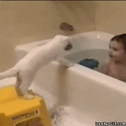 funny-kid-cat-bath-water-animated-gif.gif
