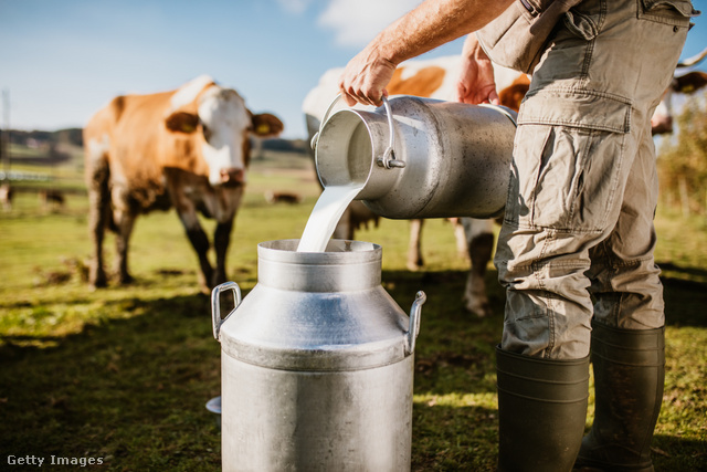 La leche de vaca también obtiene su calcio de la hierba verde