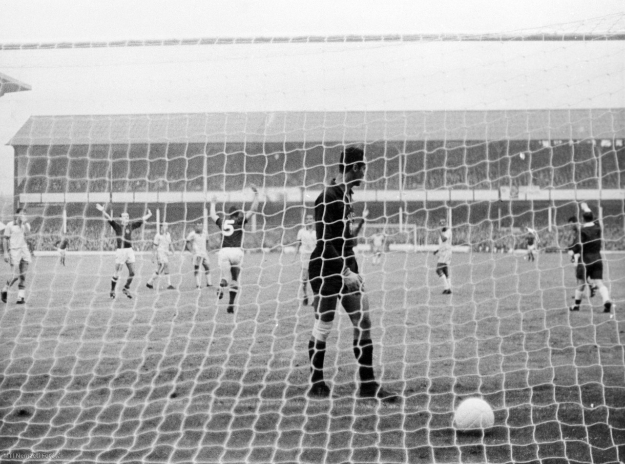 Liverpool, 1966. július 15. Mészöly Kálmán, a magyar csapat tagja (5) örül, miután büntetőből gólt lőtt Gilmarnak, a brazil csapat kapusának a Brazília–Magyarország-mérkőzésen a labdarúgó-világbajnokságon. A mérkőzés végeredménye 3:1 Magyarország javára.
