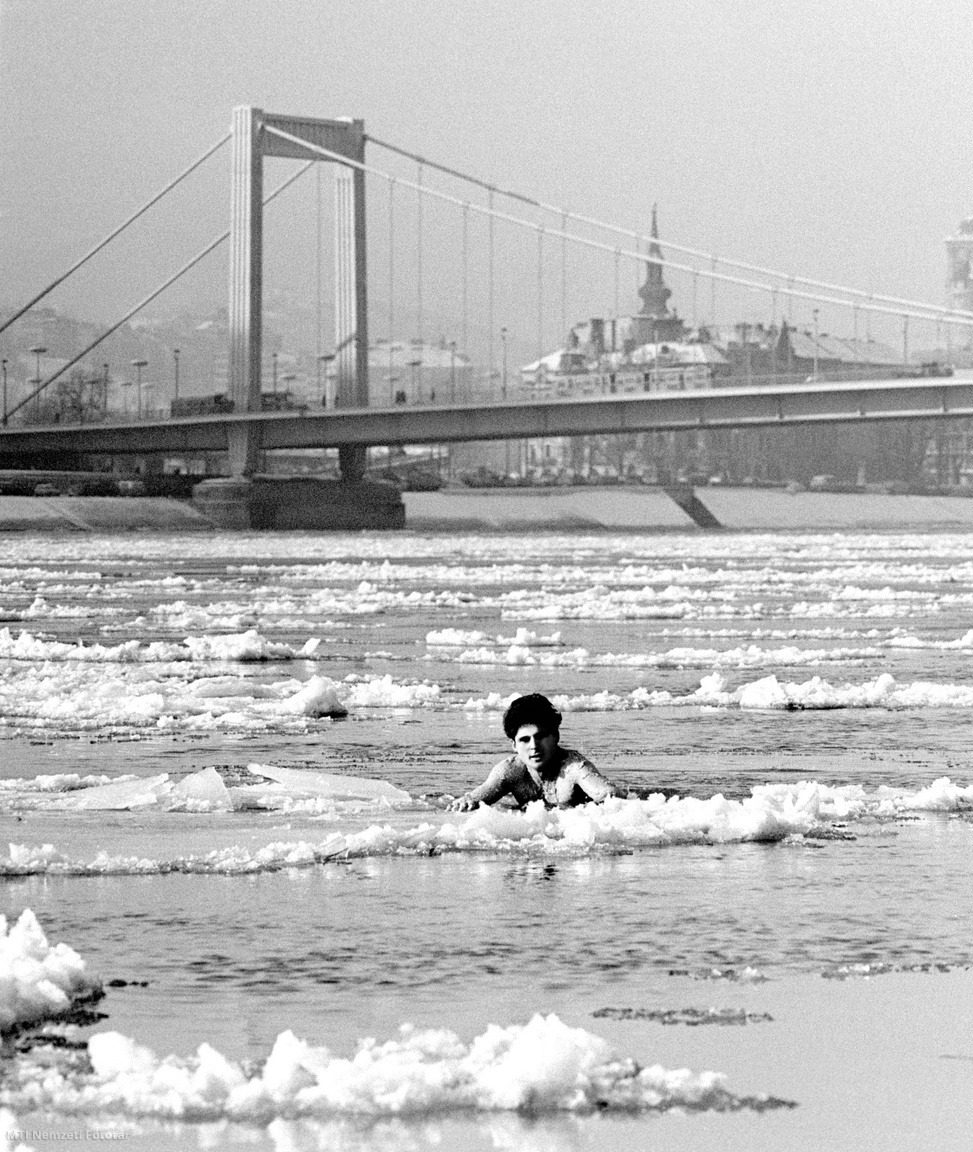 Budapest, 1967. január 12. Schirilla György, a Vasas sportolója tizedik alkalommal ússza át a jeges Dunát. Az Erzsébet híd pesti hídfőjétől a Szabadság hídig úszott