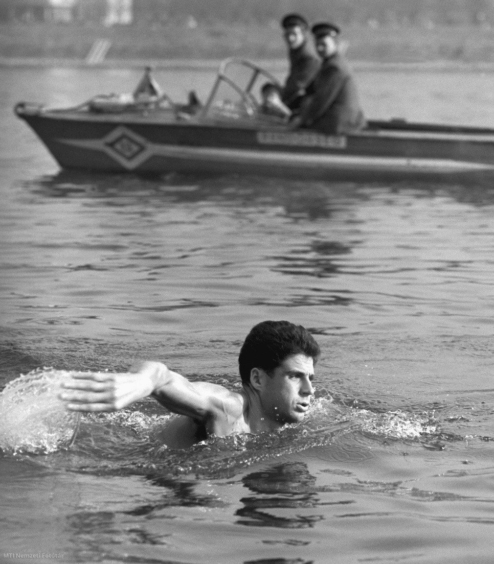 Budapest, 1967. november 24. Schirilla György edz az 5-6 fokos Duna vizében. A Vasas sportolója a Budapest–Moszkva maratoni futás után ismét megkezdte az edzéseket. Legközelebbi programja a január 12-i Duna-átúszás lesz