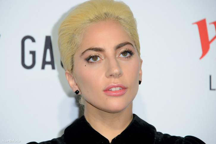 iimages mr lady gaga 013