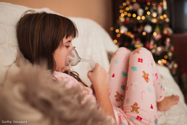 A karácsonyfa súlyosbíthatja az olyan betegségeket, mint például az asztma