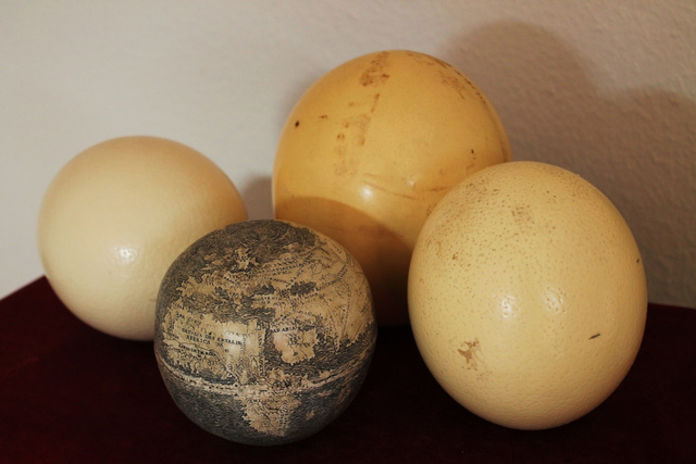 ostrich-egg-globe