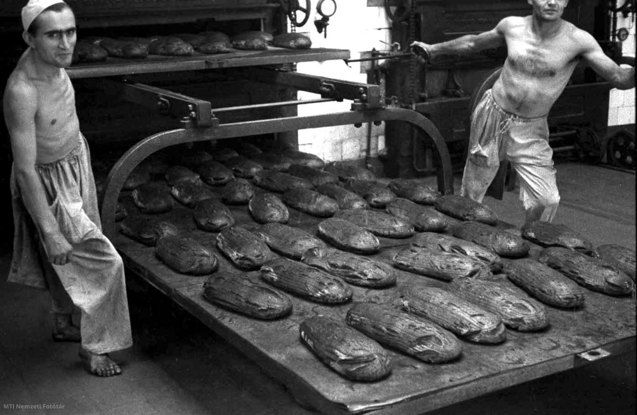 Budapest, 1945. augusztus 26. A pékek kiveszik a frissen sült kenyeret a Budapest Székesfőváros Községi Kenyérgyár kemencéjéből, amiben egyszerre több mint négy tucat kenyér sül. A kenyérgyár a Százados úton éjjel-nappal üzemel, a lakosság és a kórházak kenyérszükségletét szolgálja ki