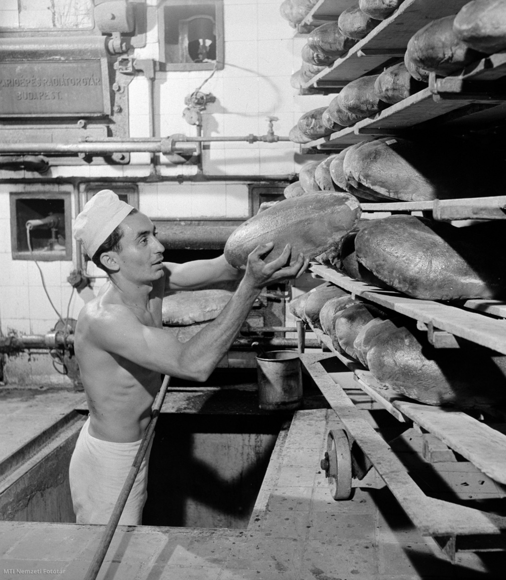 Ózd, 1958. szeptember 10. A húszkemencés ózdi kenyérgyár egyik pékje szállítás előtt állványra rakja az elkészült kenyereket