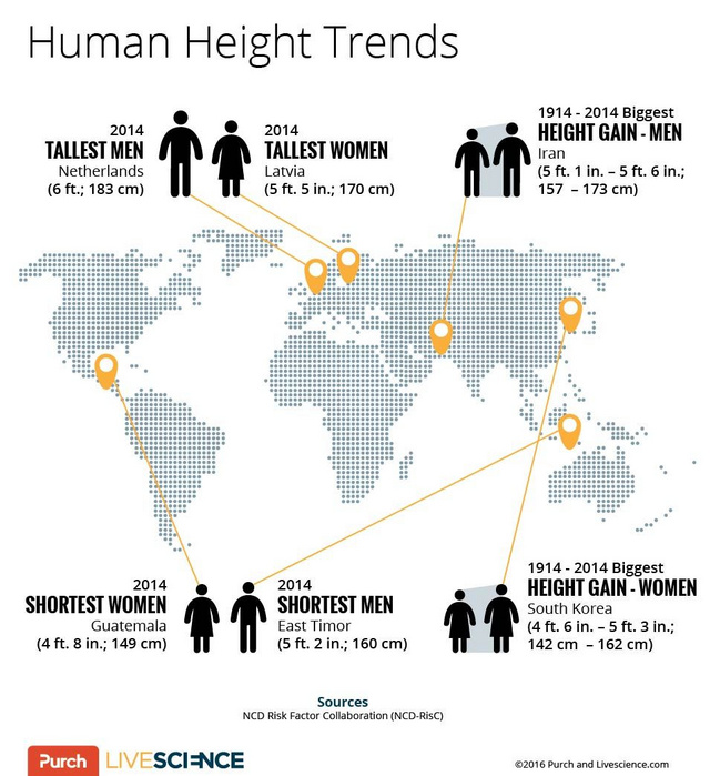 Az emberek a világ legtöbb részén ma átlagosan magasabbak, mint 100 évvel ezelőtti társaik (Kép: Purch Creative Ops)