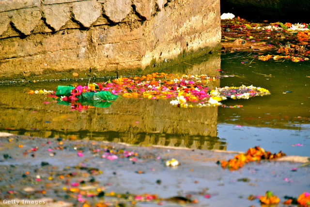 A folyón úszó virághulladék szennyezi a környezetet
