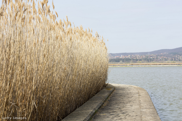 A Velencei-tó kiszáradása is intő jel lehet