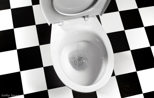 Az öblítéskor kicsapódó WC-permet súlyos fertőzéseket okozhat