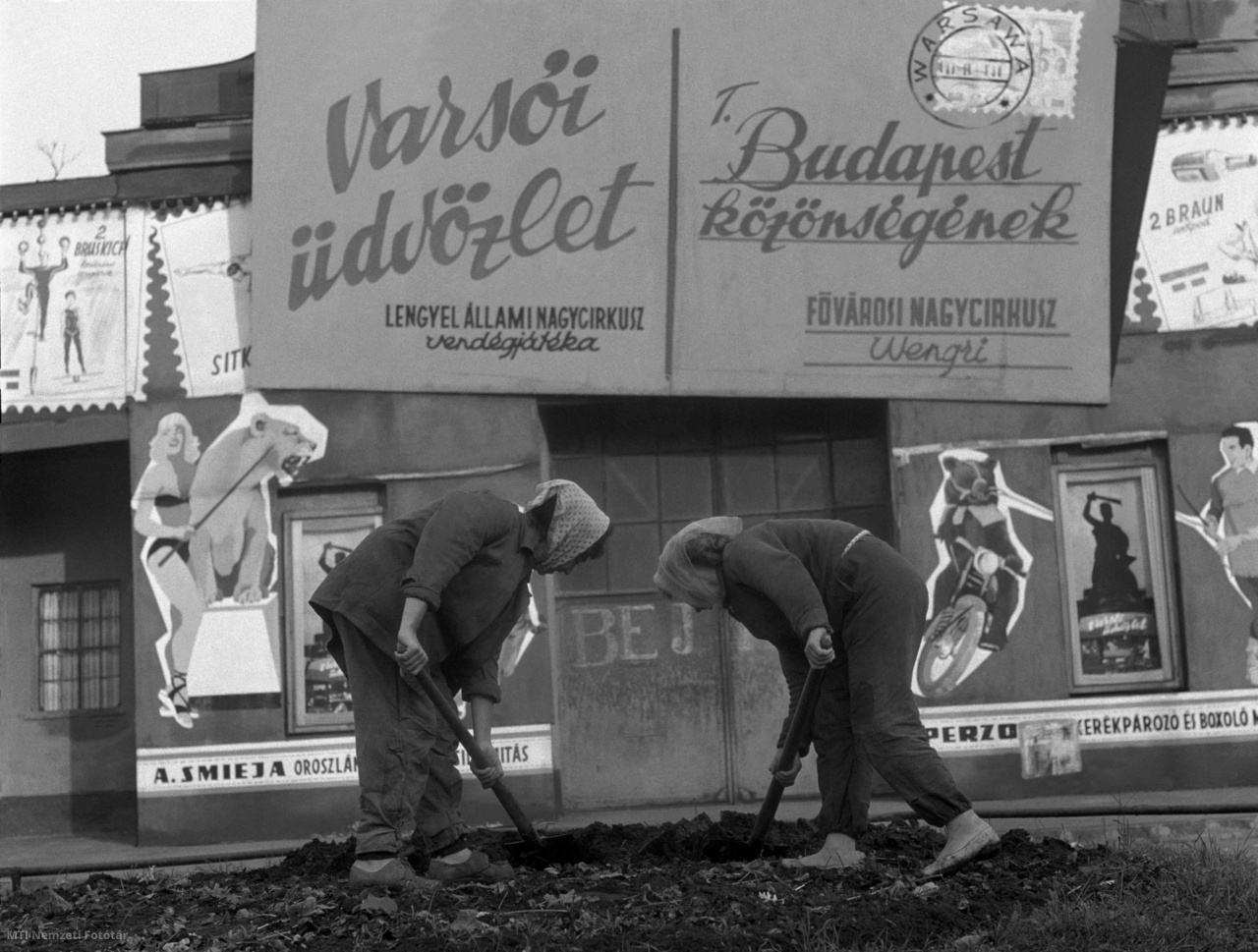 Budapest, 1964. október 14. Asszonyok ássák a földet egy épület előtt a reggeli órákban. Mögöttük az épületen a Fővárosi Nagycirkusznak címzett Varsói üdvözlet Budapest közönségének, a Lengyel Állami Nagycirkusz vendégjátékát hirdető tábla.