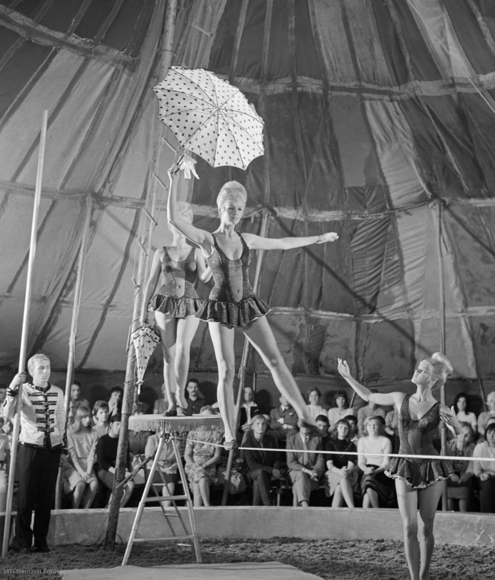 Budapest, 1965. augusztus 24. Pécsi Ildikó, Tordai Teri és Szilvássy Annamária (b-j) színésznők artista szerepben kötéltáncosokat alakítanak a Tilos a szerelem című készülő filmvígjáték felvételén egy Hűvösvölgyben felállított cirkuszi sátorban. A három színésznő előzőleg tökéletesen elsajátította a kötéltáncosi mutatványt az Állami Artistaképző Intézetben. A film rendezője Rényi Tamás, operatőr Forgács Ottó.