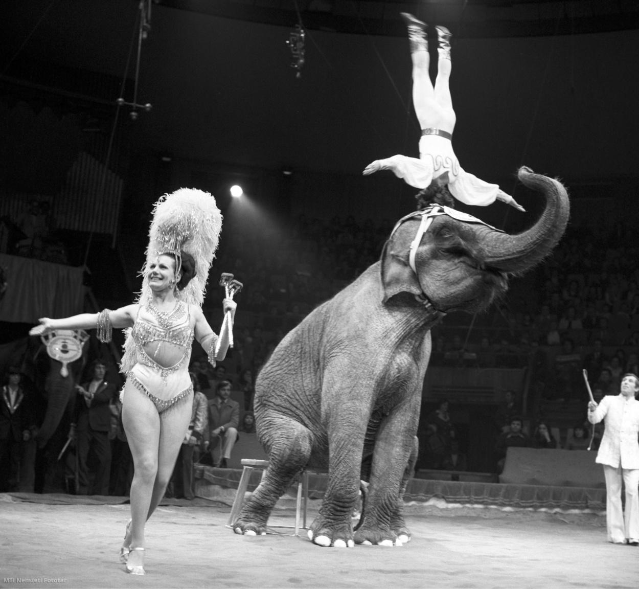 Budapest, 1977. december 21. A Richter cirkusz hat akrobatájának elefántszáma a Fővárosi Nagycirkusz „Gála '78” című műsorában.