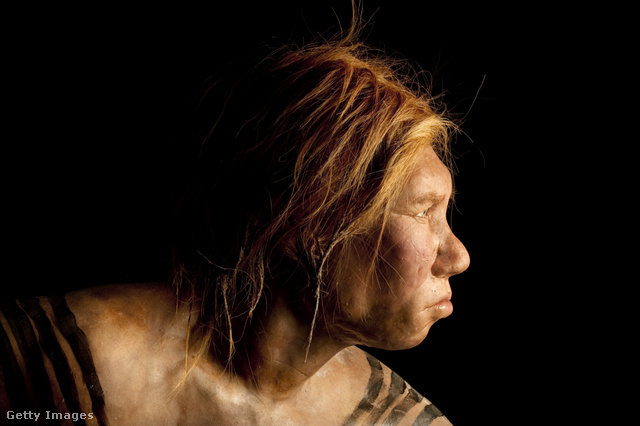A nők is vadásztak: ez egy Neander-völgyi nőnek a maradványokból rekonstruált portréja