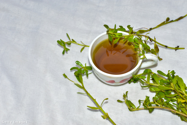 A teaként is fogyasztható gyógynövény elsősorban agyserkentő hatásáról ismert