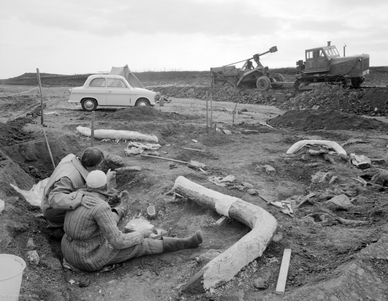 Visonta, 1965. október 10. Szállítás előtt gipsszel erősítik meg azokat a porladó mamutcsontokat, melyeket munkások a visontai 200 millió tonnás szénkészlet kitermelése során, a két kilométer frontszélességű külszíni bányához vezető vasút építésénél találtak. Az egri Dobó István Vármúzeum munkatársai megkezdték a lelet feltárását. A csontokat szétszórtan találták meg, és majd az ásatás későbbi stádiumában derülhet ki, hogyan került ide a jégkorszakban élt állat.
