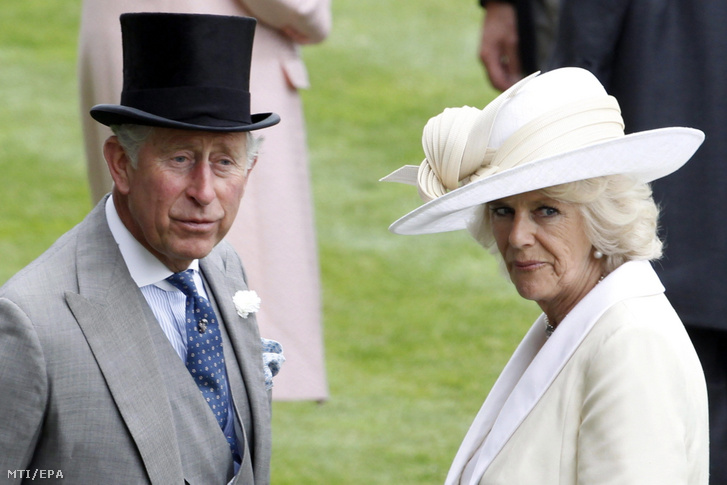 Károly walesi herceg brit trónörökös és felesége, Kamilla cornwalli hercegnő az ascoti királyi lóversenyen 2013. június 18-án