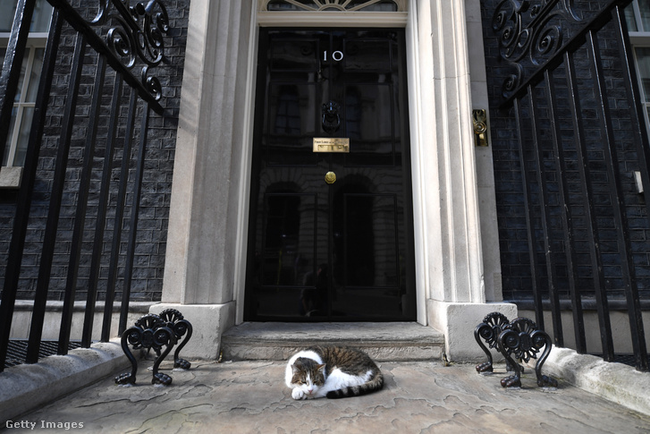 Larry, a Downing Street 10. macskája – maradt még pár élete