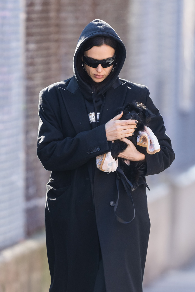Úgy néz ki, bővült Irina Shayk-ék családja, ugyanis a modellt, a napokban egy kiskutyával a kezében kapták lencsevégre.&nbsp;