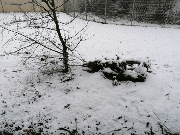Düsseldorfban csinos hóréteg várta az érkezőket