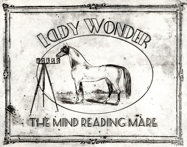 Lady Wonder csodás képességeit reklámozó hirdetés