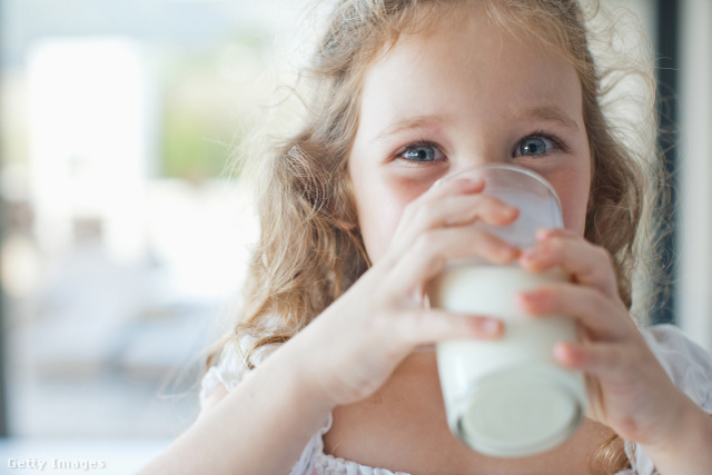 A vanília édes íze miatt kevesebb hozzáadott cukor szükséges a fűszerrel ízesített tejhez