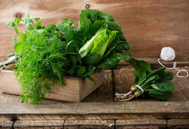 A bogyók mellett a zöld leveles zöldségek is támogatják az agy egészségét