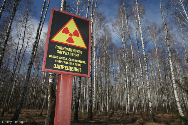 Ez is Csernobil hatása: figyelmeztető felirat tudatja, hogy az erdőben ne gyűjtsön senki gombát és bogyókat