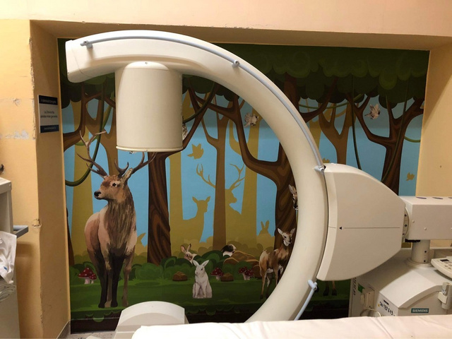 A Szent János Kórház röntgenvizsgálójában egy erdő teszi hangulatosabbá a vizsgálatot