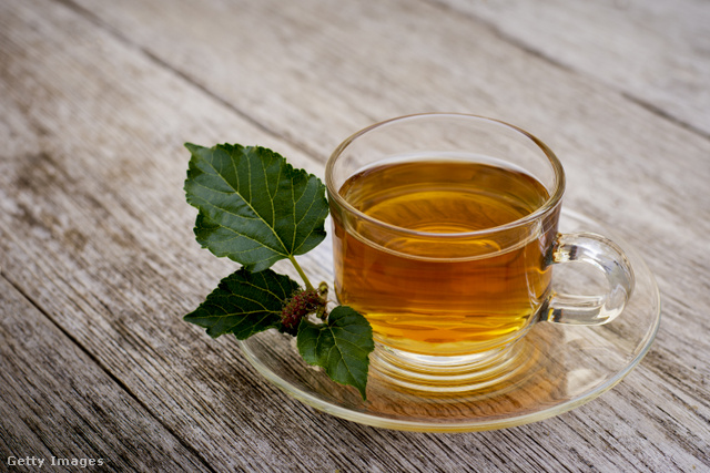 No solo sus frutos, también el té elaborado con sus hojas tiene un efecto medicinal