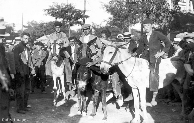 E kép készültekor, 1929-ben, már hagyomány volt a szamárverseny Spanyolországban