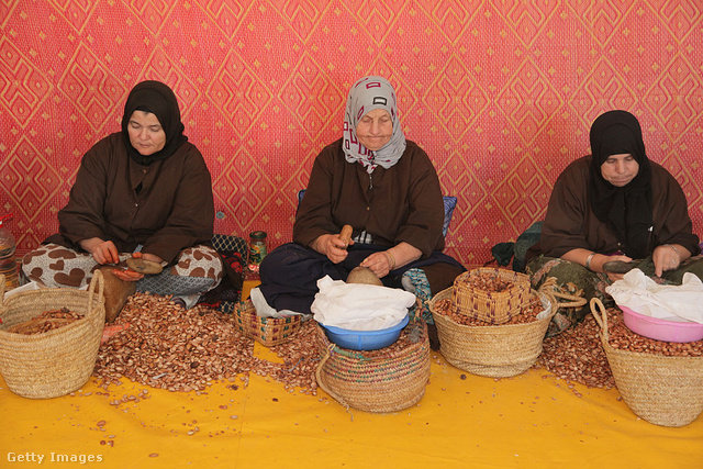 A berber nők hagyományos módszerrel állítják elő az argánolajat