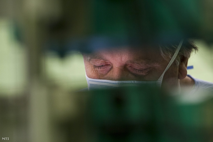 Entz László egyetemi docens nyakiverőér-műtétet végez a Semmelweis Egyetem Általános Orvostudományi Kar Ér- és Szívsebészeti Klinikájának műtőjében 2012. január 25-én