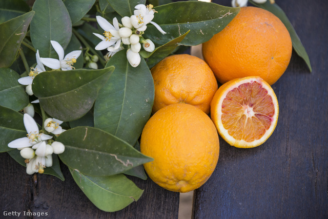 A keserű narancsfa virága számtalan jótékony hatással bír