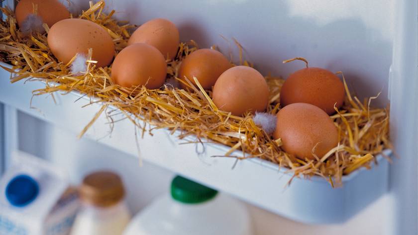 A tojás hetekig friss marad a hűtőben /Fotó: GettyImages