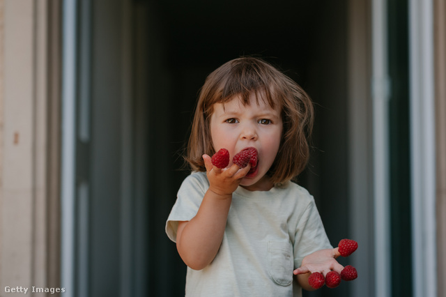 Az eper főleg a gyerekeknél okozhat allergiát