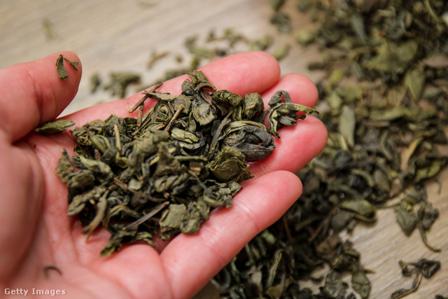 A zöld tea leveleiből készülő kivonat több szempontból is egészséges
