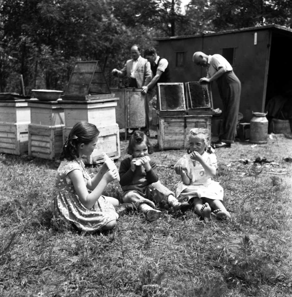 Tápióság, 1954. június 7. Piringer Rózsa, Szajc Jusztinia és Tompa Zsuzsa, a legifjabb nógrádverőcei méhészek - egy vándor méhészcsoport tagjainak gyerekei - lépesmézet esznek a tápiósági akácerdőben.